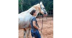 Leadership through horsemanship